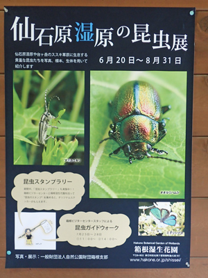 02昆虫展のお知らせ.jpg