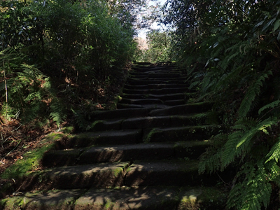 10瑞泉寺鎌倉石の階段.jpg