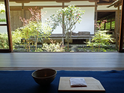 14高山寺でお茶.jpg