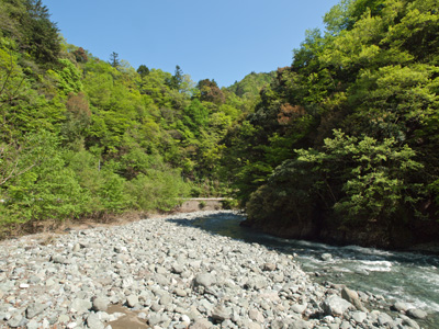 1丹沢の河原.jpg