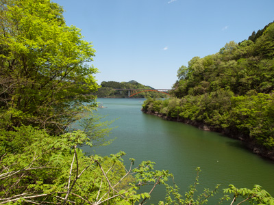 1宮ヶ瀬湖の新緑.jpg