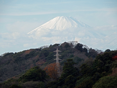 47獅子舞富士山.jpg