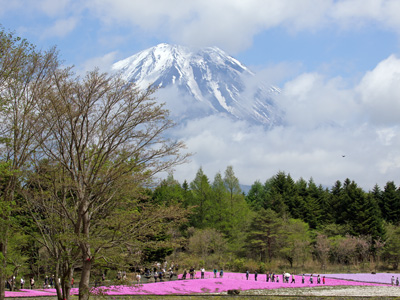 世界遺産富士山.jpg